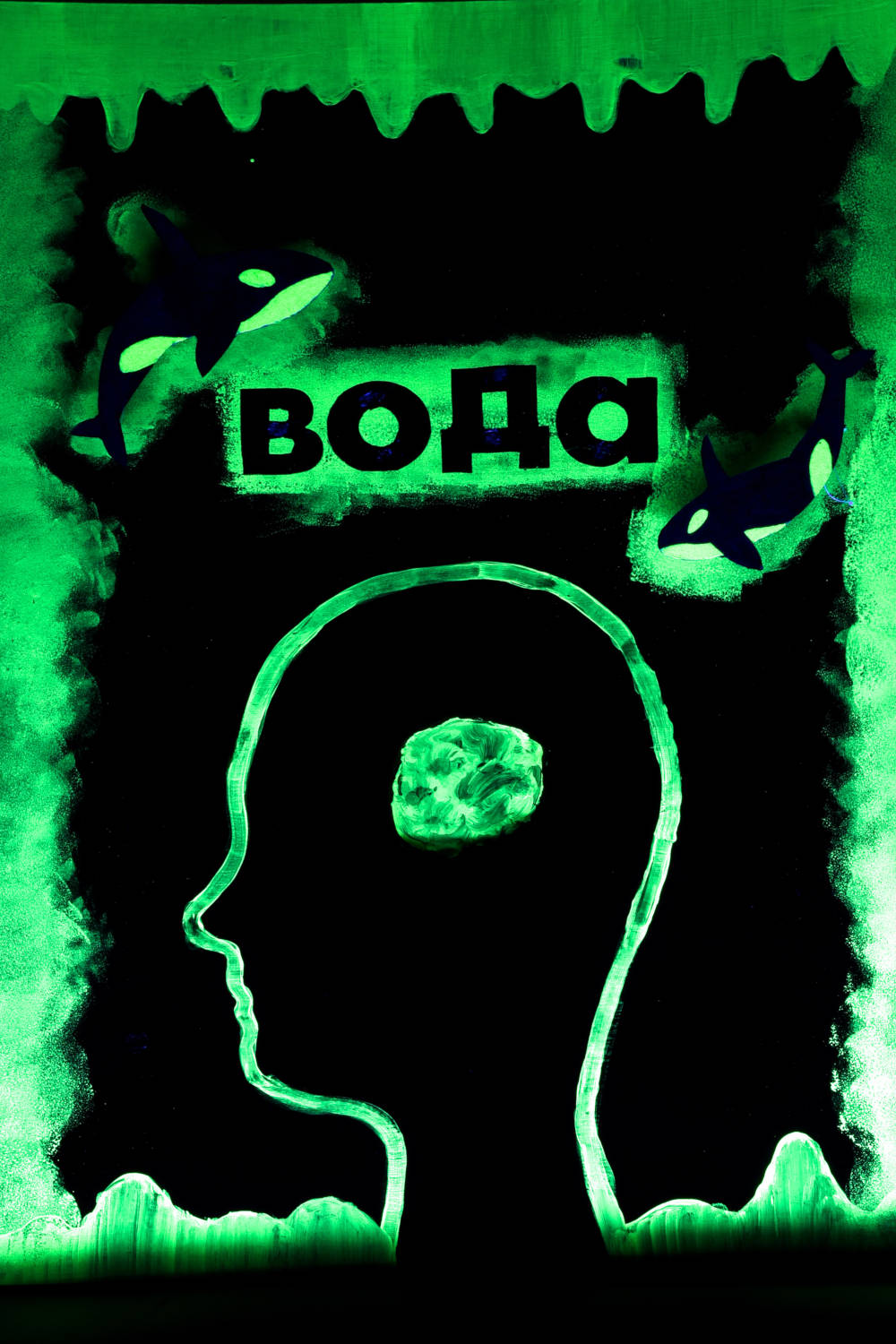 Projekte_Kunst02 "Russian Dolphins" - Alexander Steier