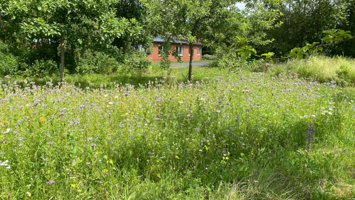 Es summt und brummt!