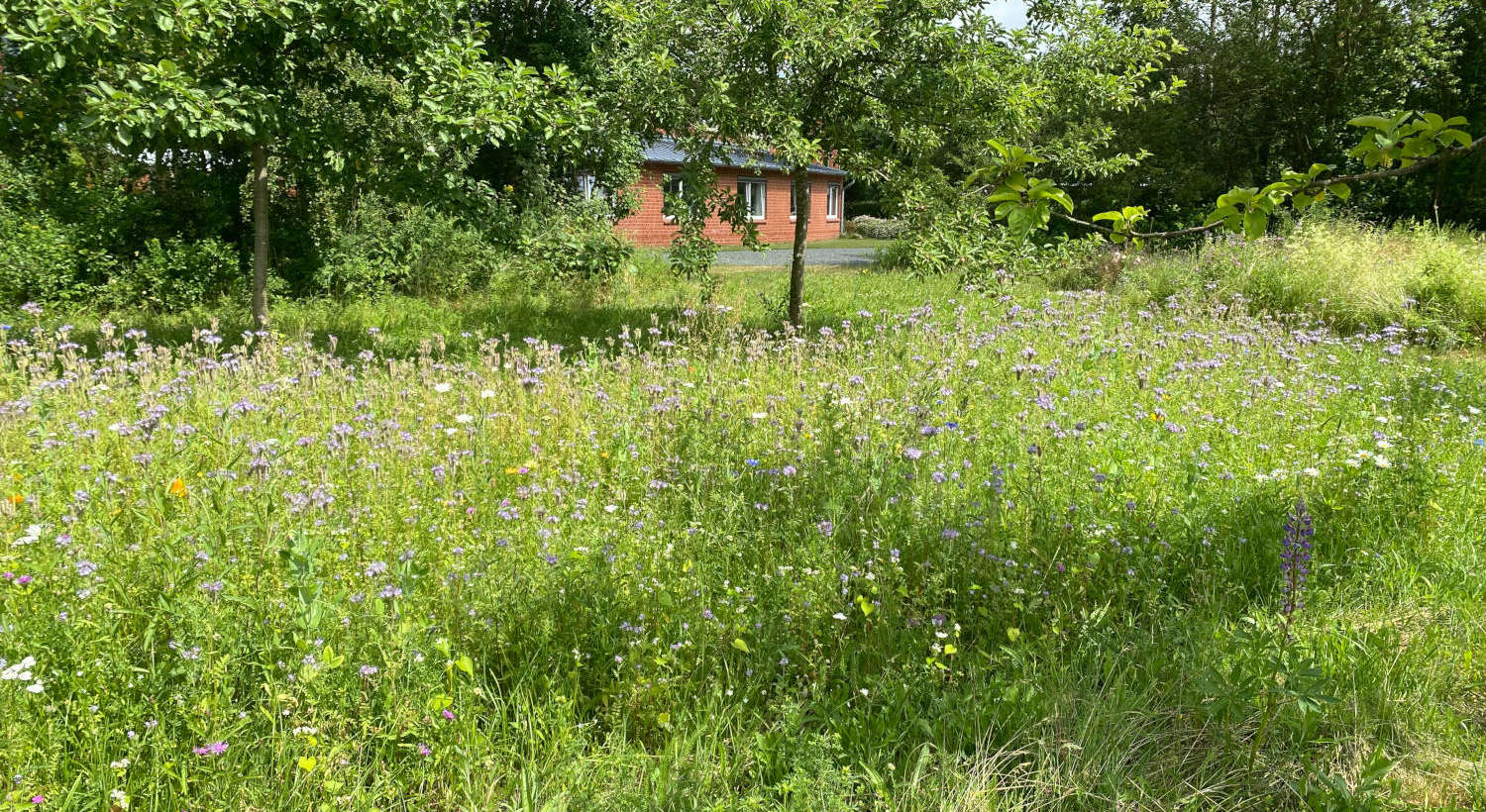 Es summt und brummt!