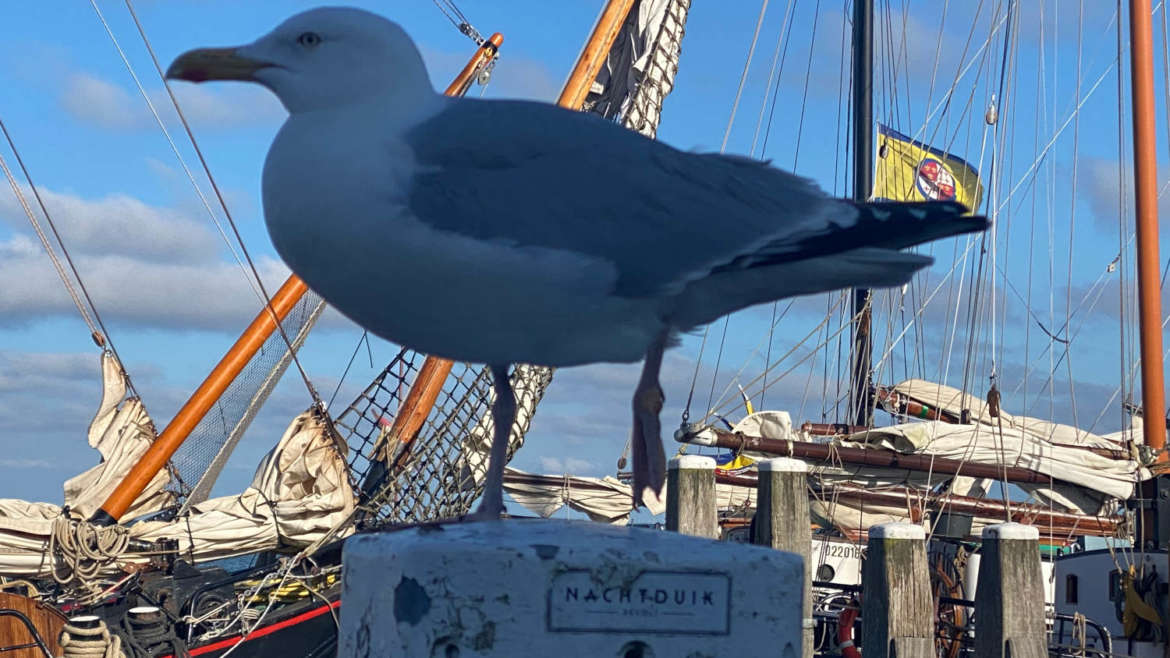 Abschlussfahrt Realschule