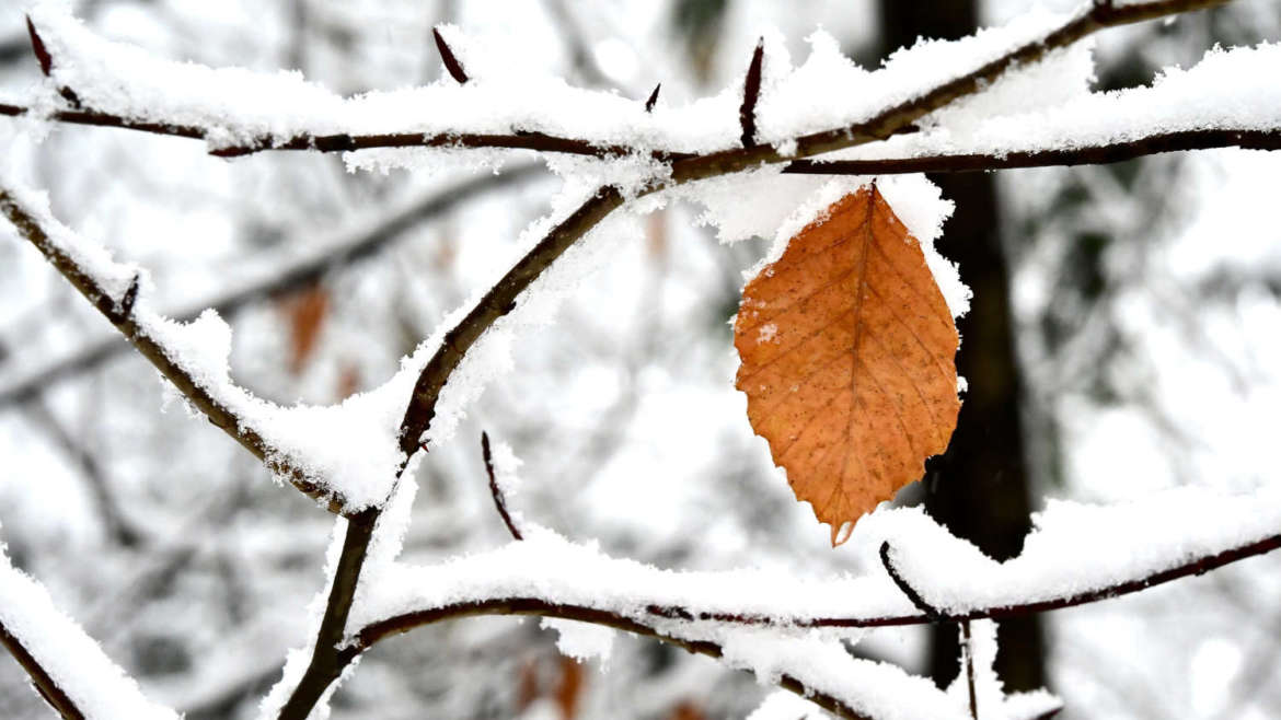 Schneetag in der Fintauschule