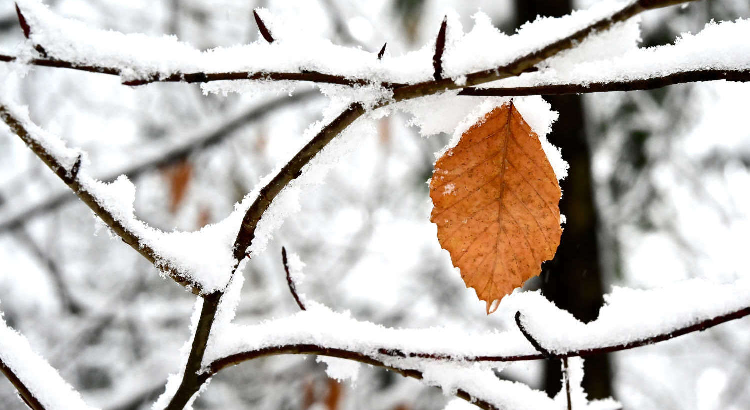 Schneetag in der Fintauschule