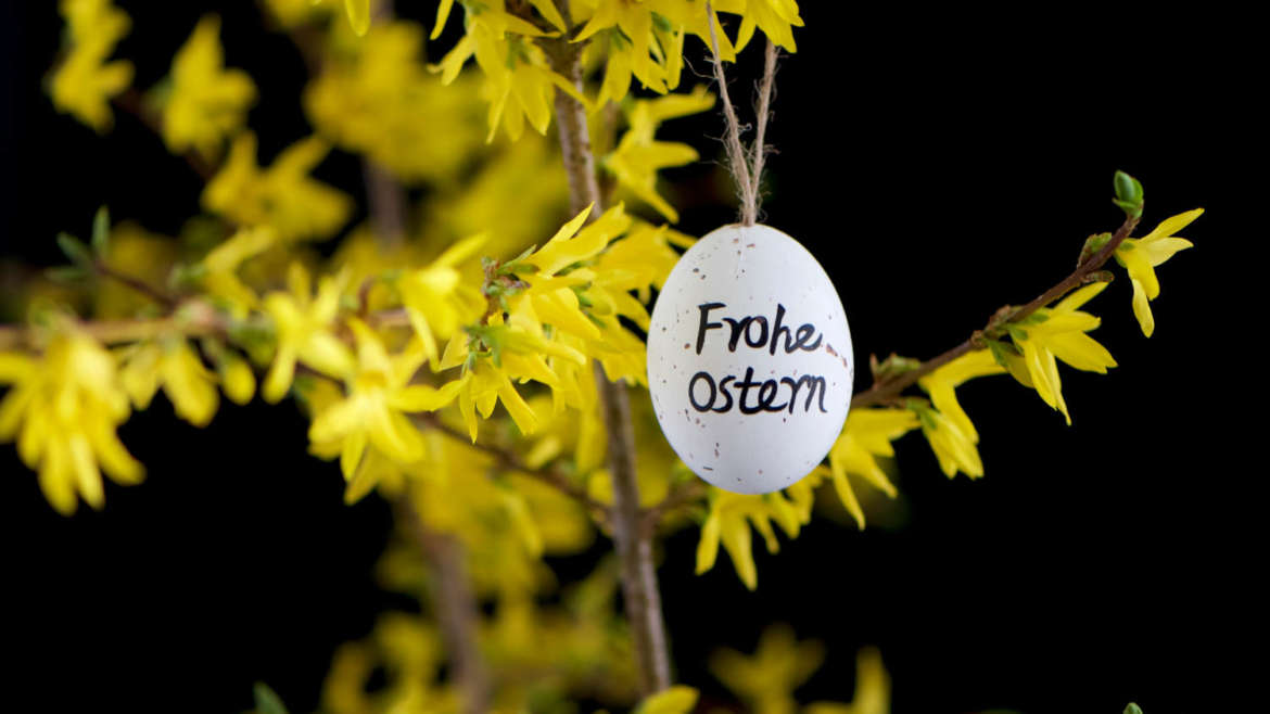 Frohe Ostern!