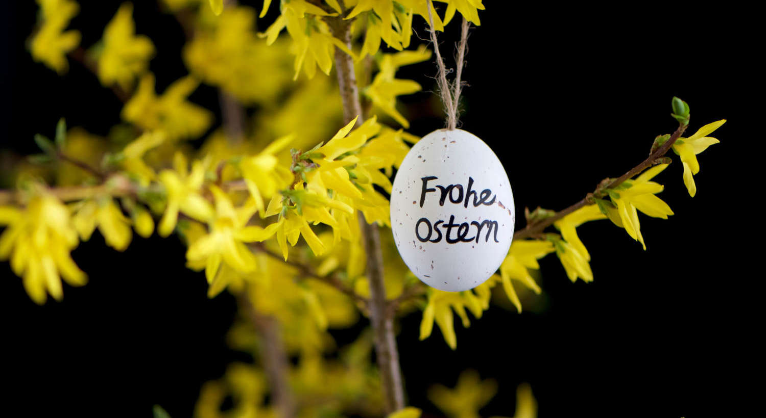 Frohe Ostern!